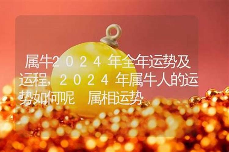 属牛的2024年全年运势