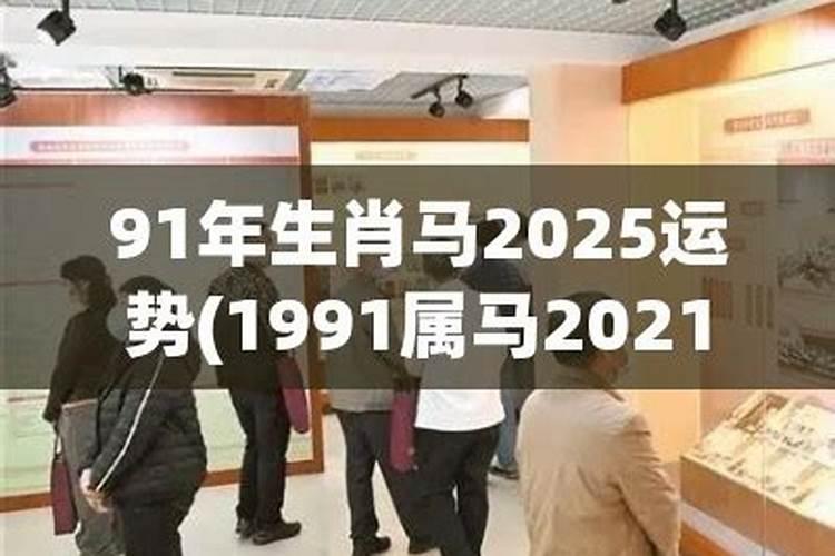 91年马2023年运势如何