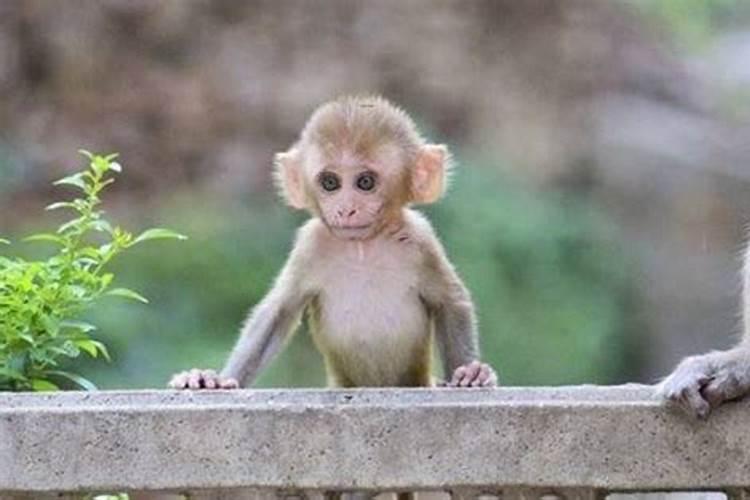 梦里梦到和男生牵手