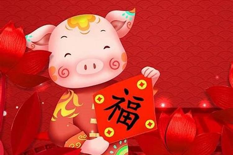 属猪今年多大年龄2021