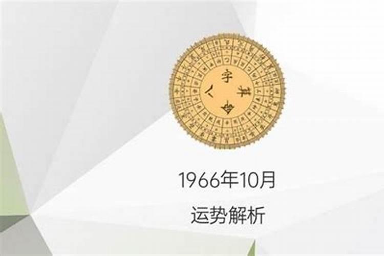 2023年属鼠运势及运程如何呢