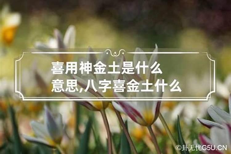 梦见老虎追我我被别人救了啥意思