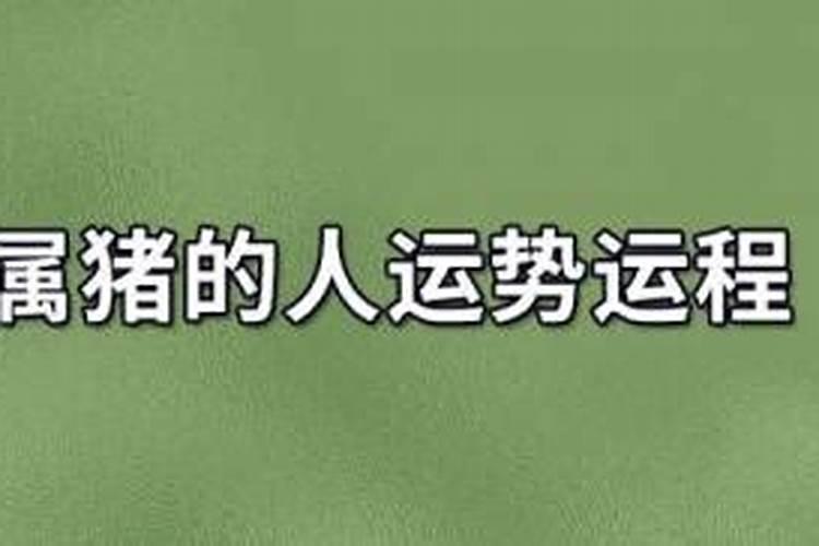 2023属牛农历7月运势如何看