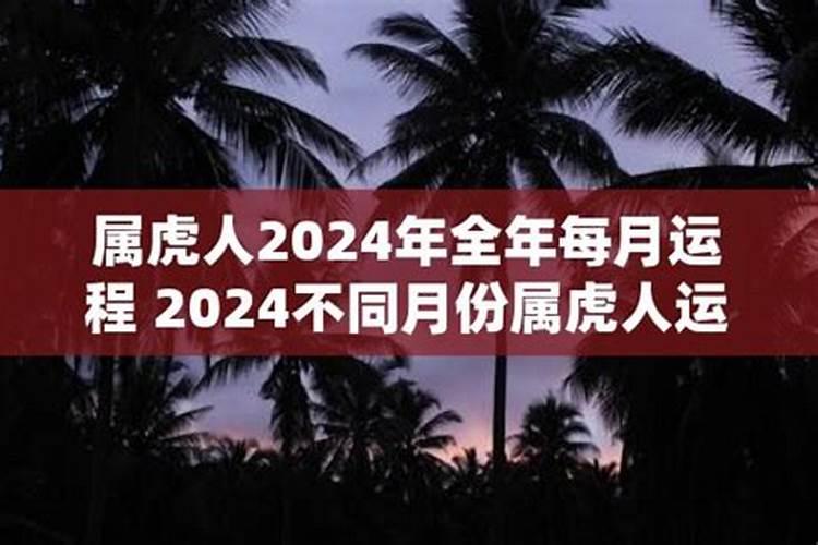 87属兔2024运势如何