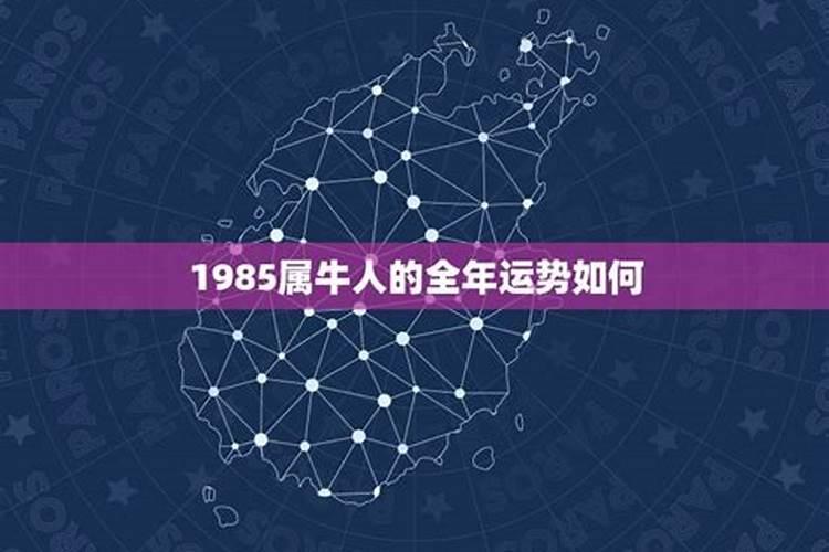 1985属牛人全年运势如何