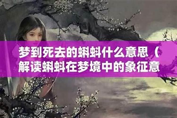 梦见表妹夫是什么意思