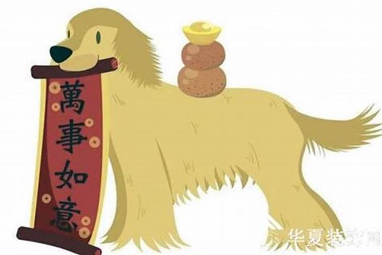 属龙2021年犯太岁佩戴什么饰品最好呢