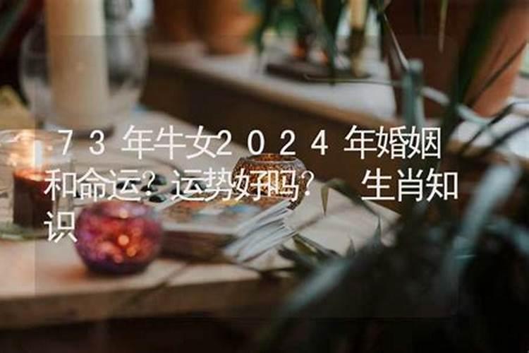 2023年属牛下半年运势查询