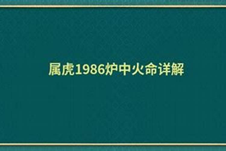 1986炉中火最佳配偶