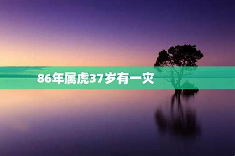 1985年大运10年（十年大运好坏）