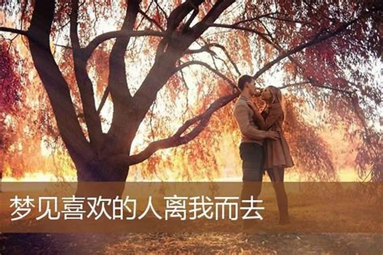 做梦梦见女同学离婚了