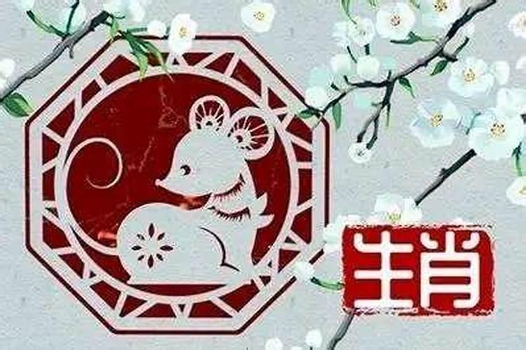 20岁今年属什么属相