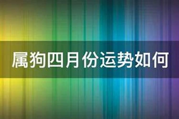 工作伙伴生肖相害如何化解