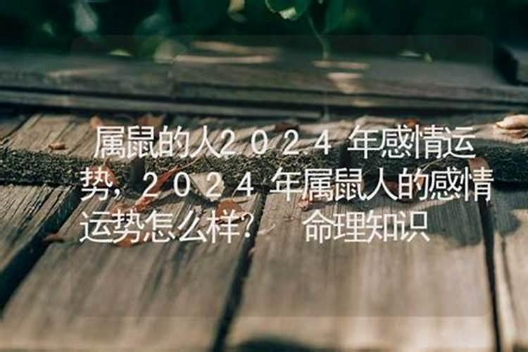 2024年属鼠感情运势如何