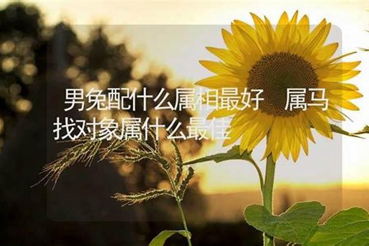 清明节到底是按农历还是阳历