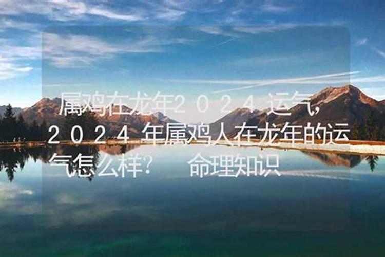 属鸡人在2024的运气