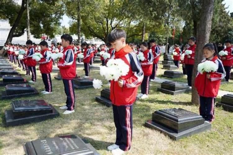 小学清明节祭扫