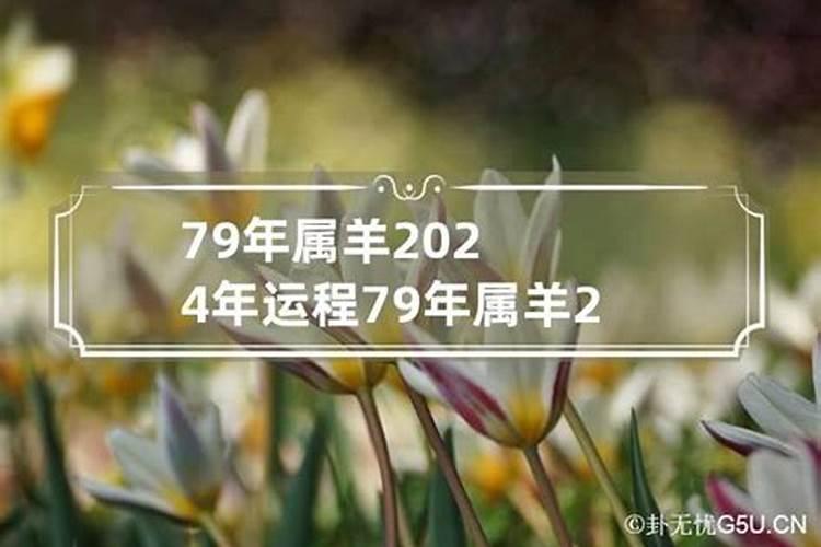 属羊2024运势及运程每月运程