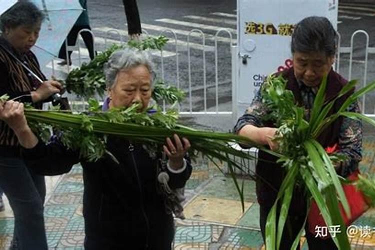 端午节采艾蒿的习俗