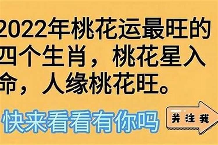 政治婚姻是什么