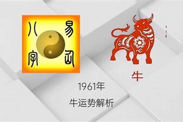 1961年出生的牛2023年的运势