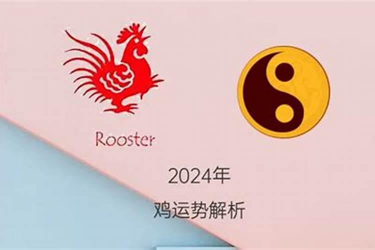 属鸡狗年的运势2024年运程如何