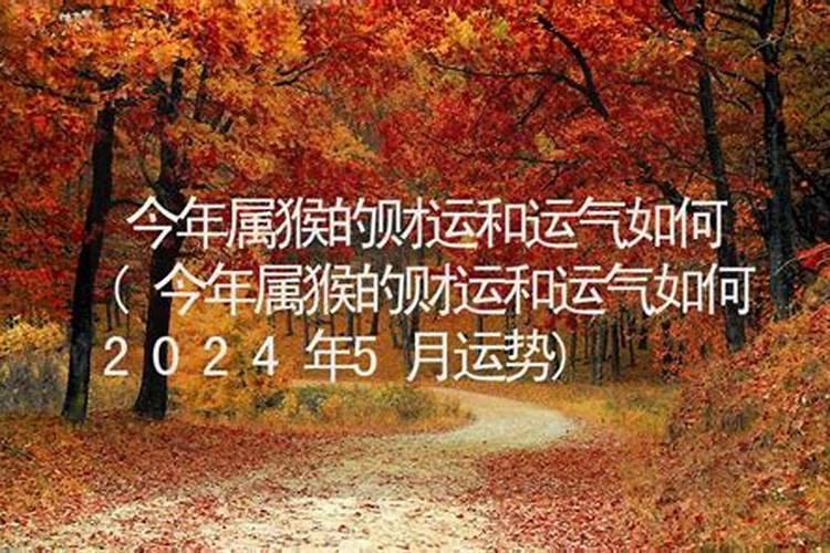 八字算命可以问什么问题吗