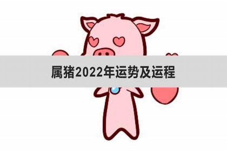 属猪今年运势2022年运势