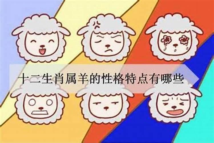 1991属羊女性格特点及脾气