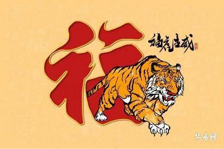 四十岁的猴今年的运气