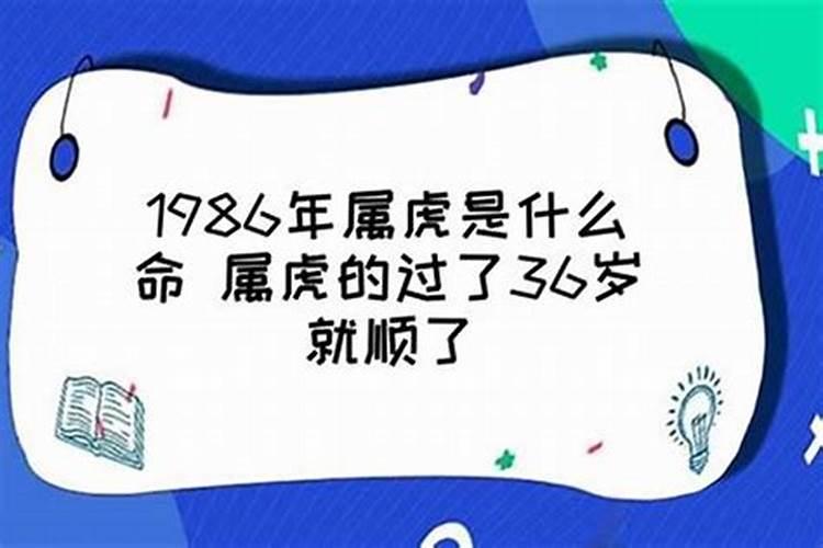 本命年36岁太凶了