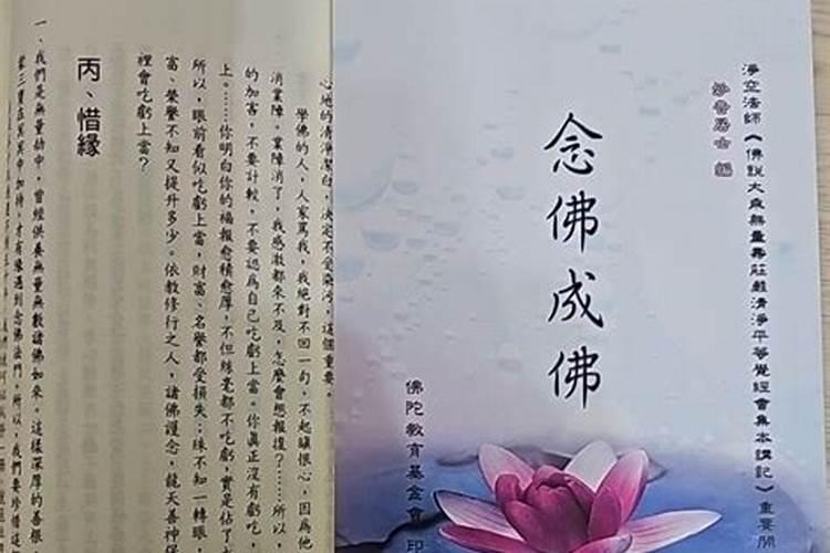 妙音易卜堂八字测算