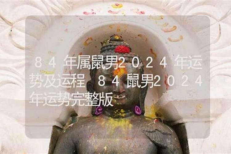 84鼠2024年运势及运程