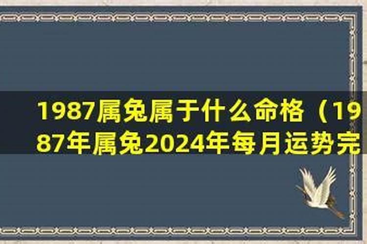 1987年的属兔在2024怎么样