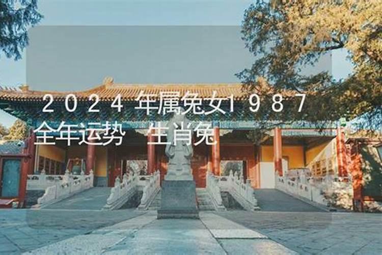 2021年,属猪多少岁