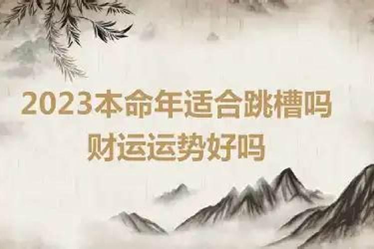 属羊今年的工作运势怎么样2023年