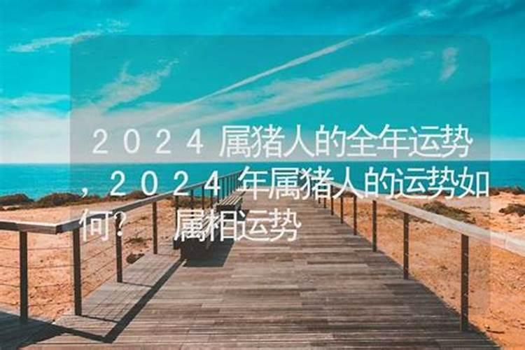 2023年6月属蛇人的运程如何样