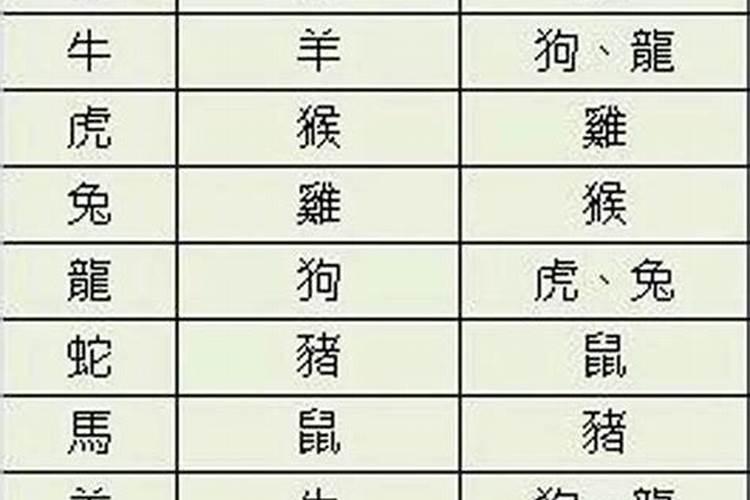 属马与什么属相相合相冲