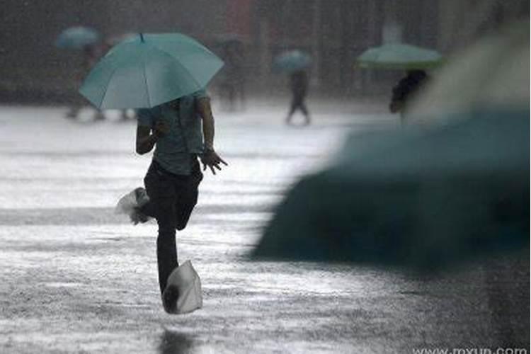 怀孕梦见大雨淋湿自己的衣服