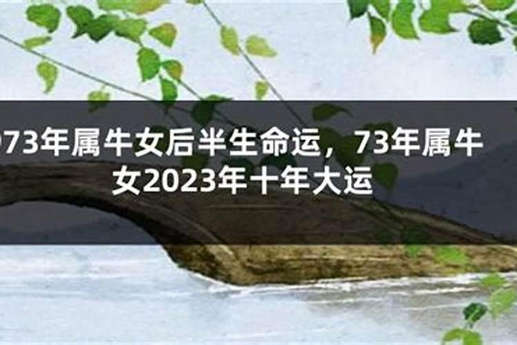 1973年属牛女后半生命运，73年属牛女一生婚姻状况如何