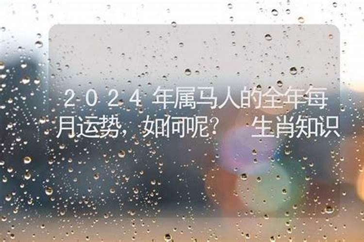 2024年出生属马人的运程如何