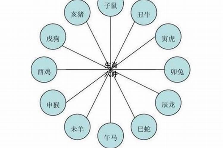 十二属相各是什么命