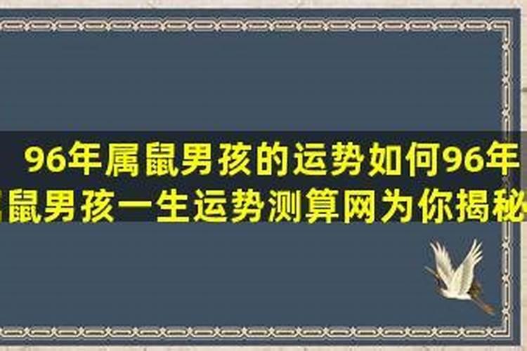 96年属鼠人今年就业运