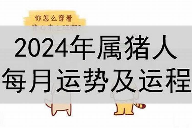 2024年生肖猪运势如何