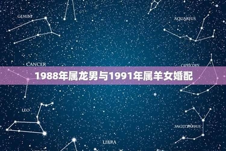 1991属羊女与1988年属龙