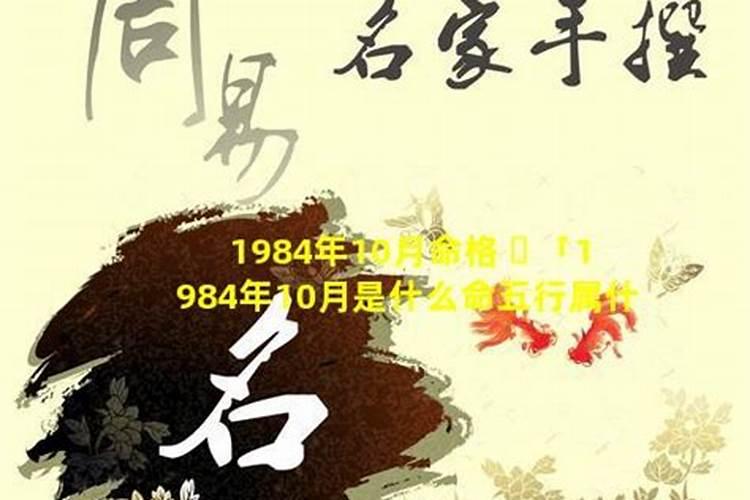 1984年阴历十月出生的人运势