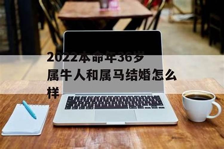 2024年属牛本命年结婚好不好