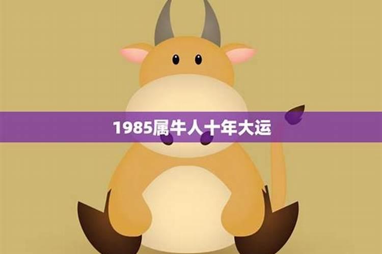 1985属牛人今年运势2024