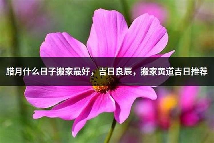 腊月农历什么日子适合诉讼大吉