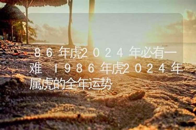 86年虎2023年必有一难